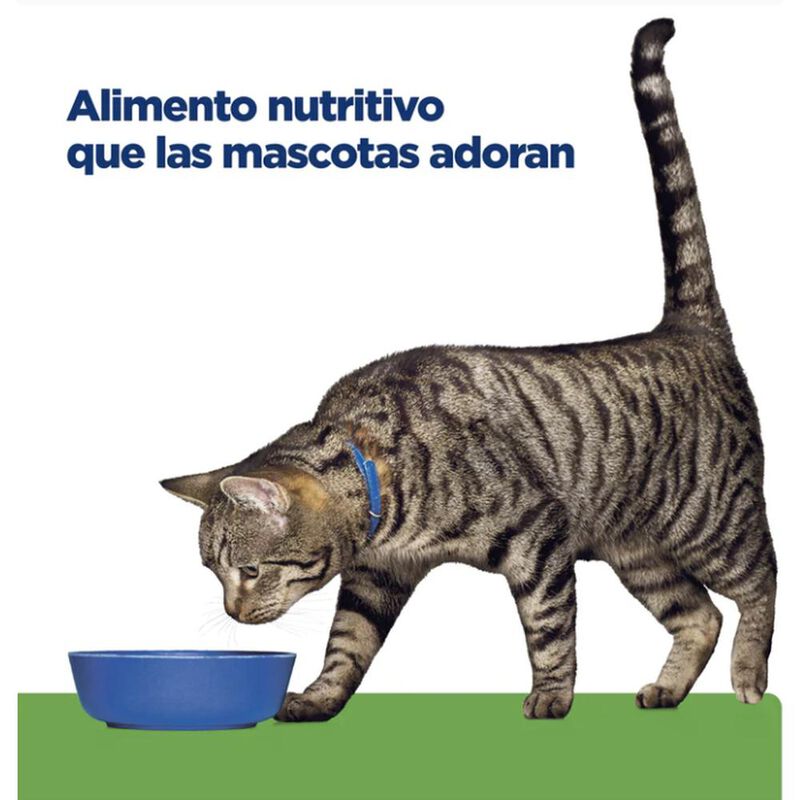 Hill's Felino Metabolic 8 Kg 1 Unid X Caja mas ... image number null