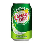 Canada Dry Lata 355 ml