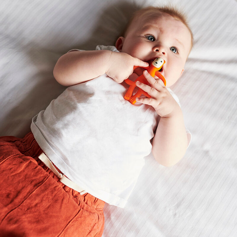 Mm Mordedera Oso image number null