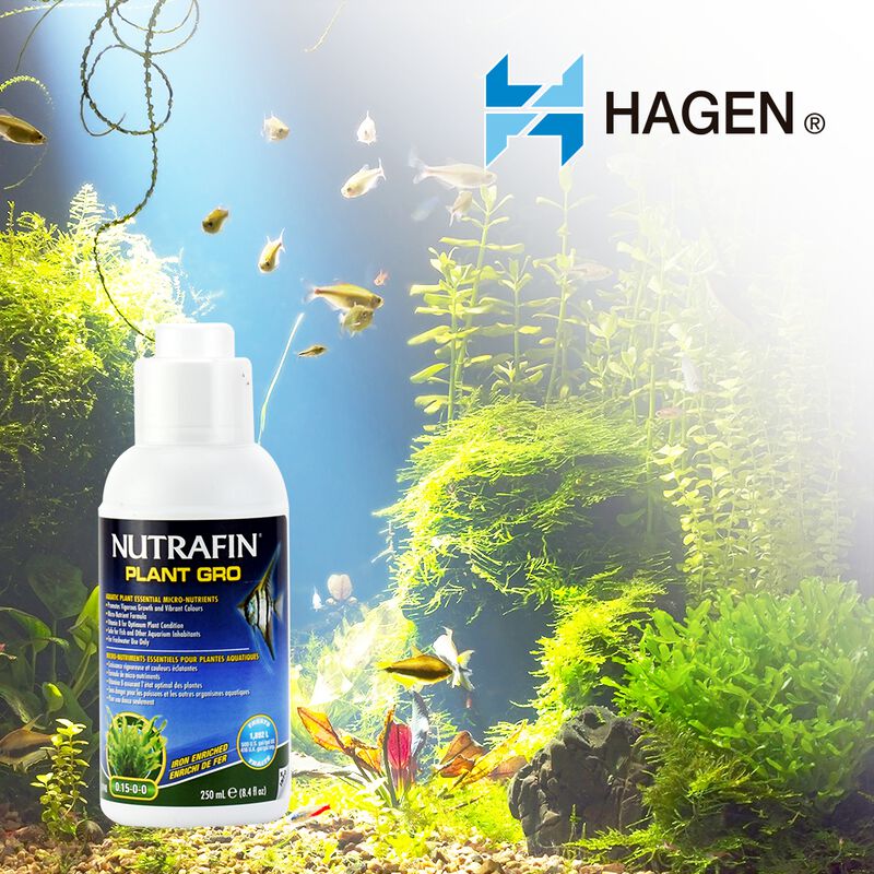 Hagen Acondicionador Plant Gro Para Acuarios Y/... image number null