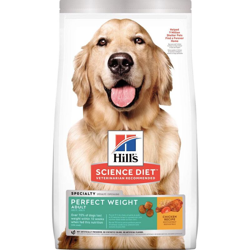 Hill's Canino Perfect Weight 11.3 Kg 1 Unid X C... image number null