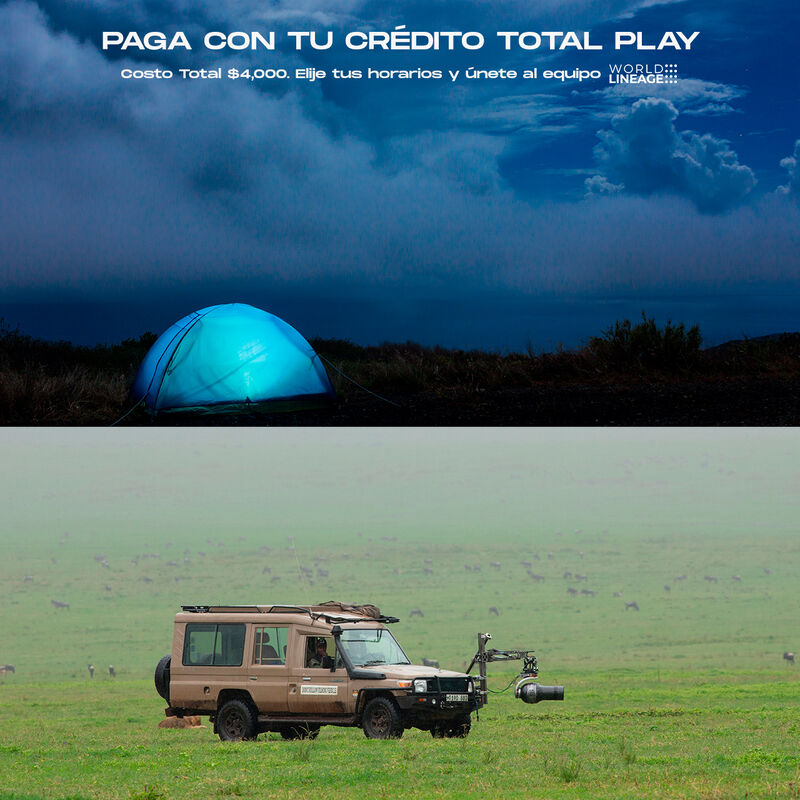 Curso de Fotografía de Vida Silvestre World Lin... image number null