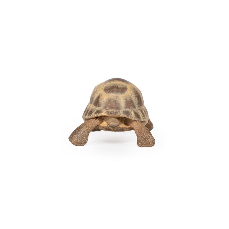 Figurita De Tortuga Hermann De Papo &ndash; 3+ A&ntilde;os &ndash;... image number null
