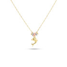 Dije Con Cadena De Oro Florentino 14K Con Delf&iacute;n (42 +3Cm Aprox)