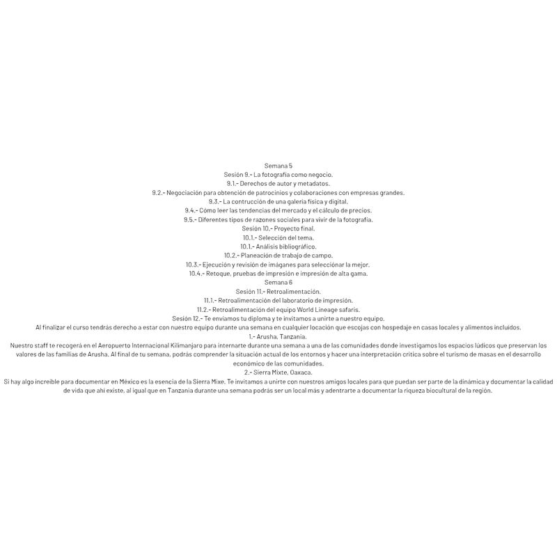 Curso de Fotografía de Vida Silvestre World Lin... image number null