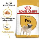 Royal Canin HN Pug 25, 10 LB 4.54 kg Royal Canin HN Pug 25, 10 LB 4.54 kg