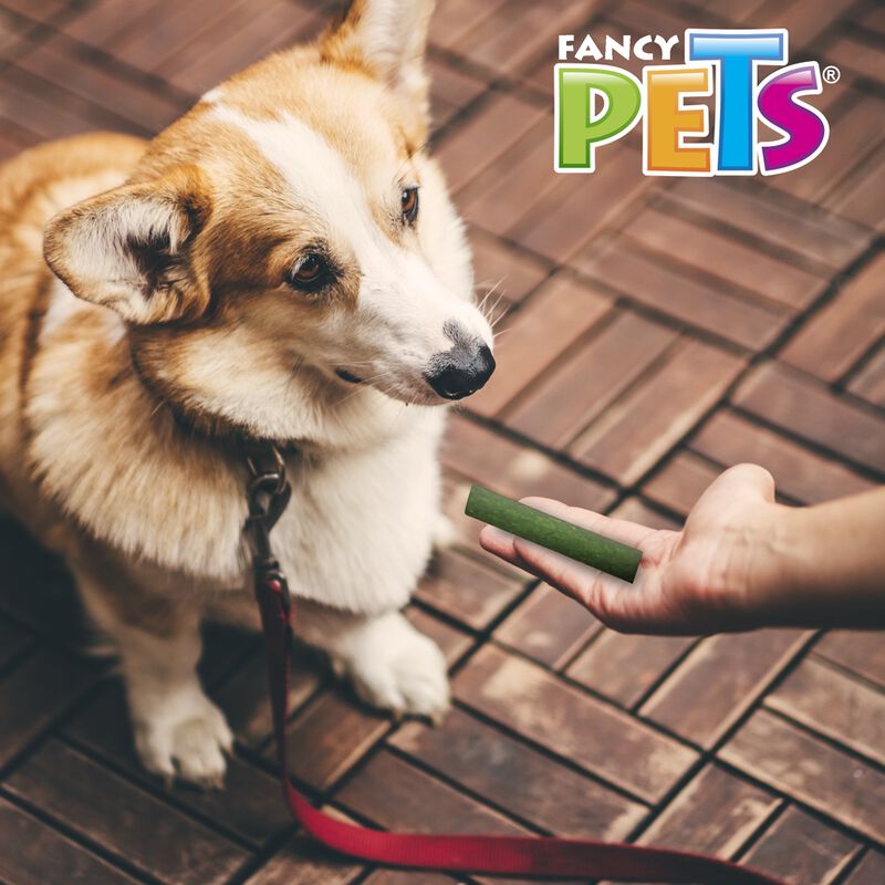 Fancy Pets Sticks Huecos De Carnaza Para Perro ... image number null