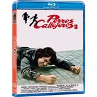 Perros Callejeros 2: En Busca y Captura (Blu-ray) [Blu-ray]