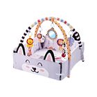 Infanti Gimnasio- Alberca  De Pelotas ''Fox''