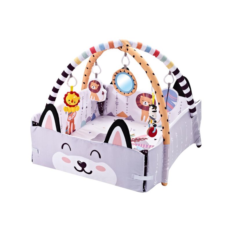 Infanti Gimnasio- Alberca  De Pelotas ''Fox'' image number null