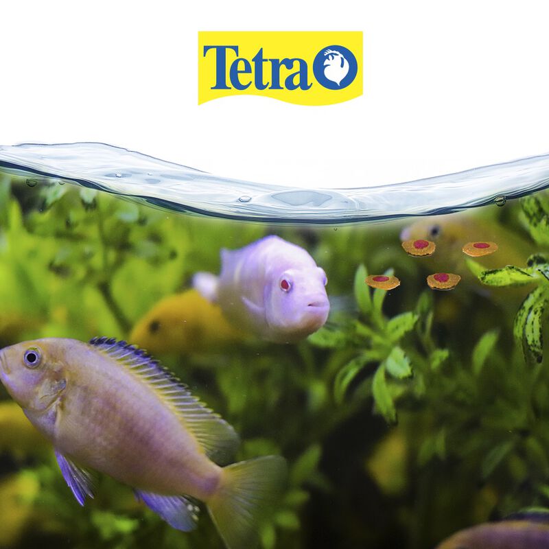 Tetra Alimento TetraPro Tropical para Peces Con... image number null