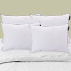 Set de 4 Almohadas Dicasa One