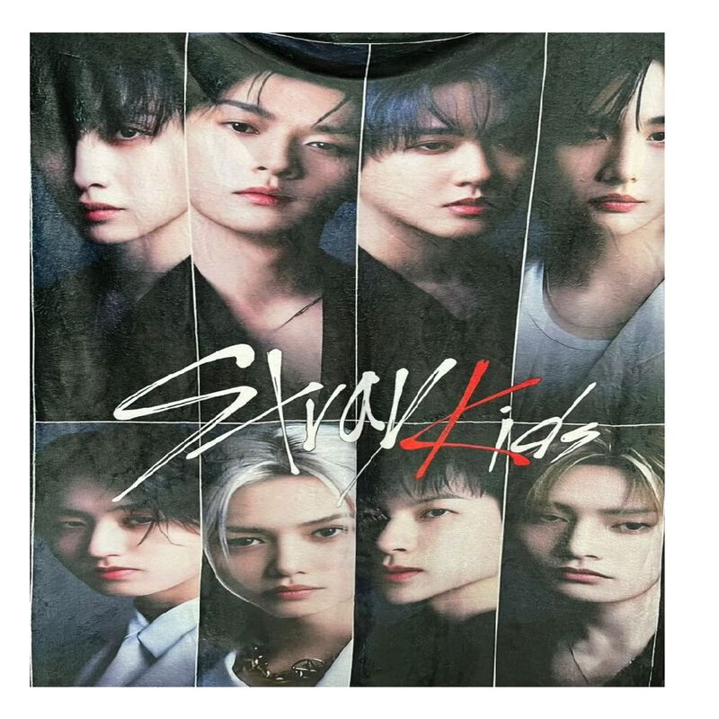 Exclusiva! Cobija Frazada Ultra Suave Stray Kid... image number null