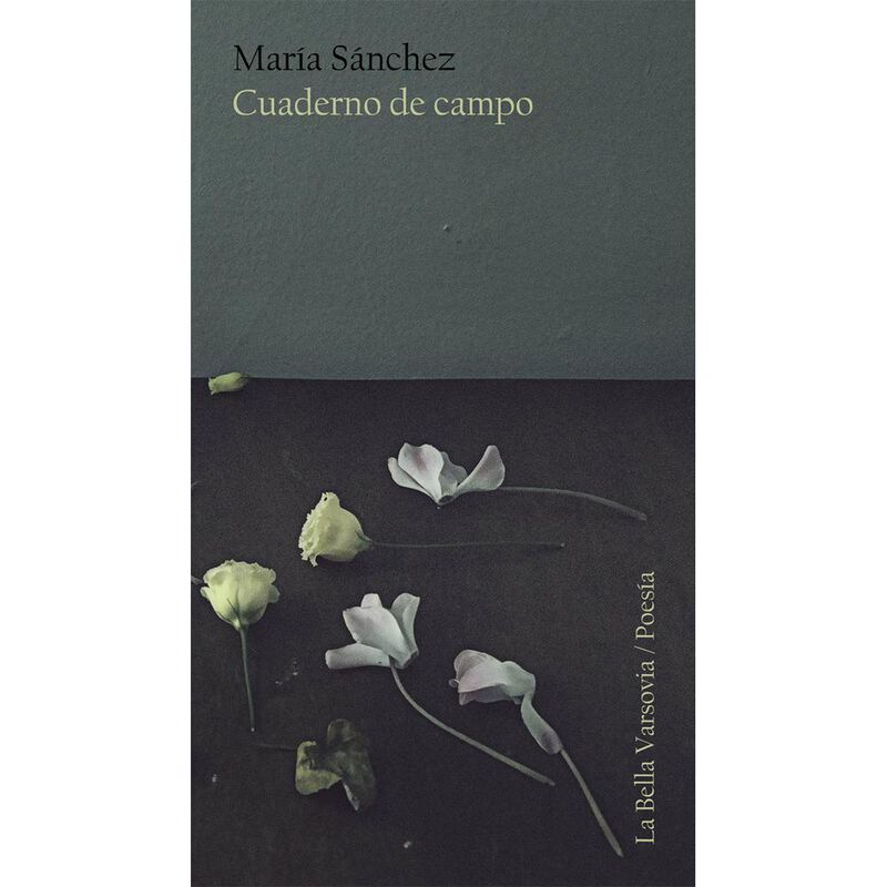 Cuaderno de campo image number null