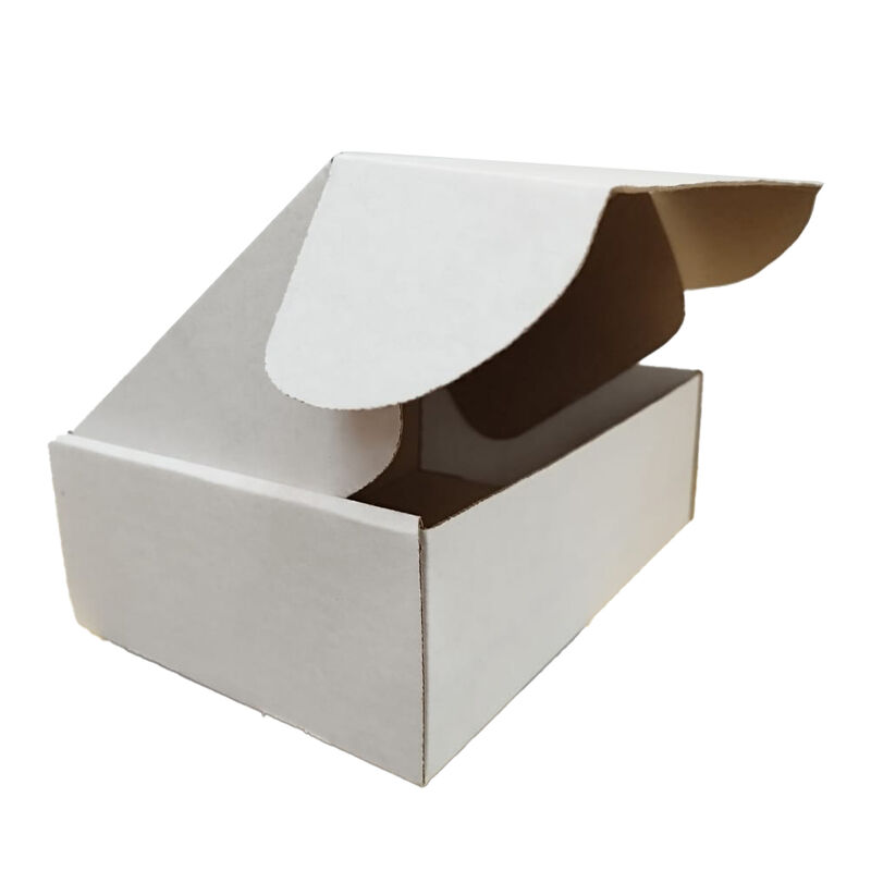 Caja Troq Ecommerce Chica Blanca 25x17x8 image number null