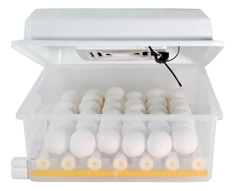 Incubadora Autom&aacute;tica 36 Huevos Aves Pollos + O... image number null