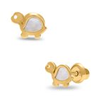 Broqueles De Tortuga En Oro Amarillo 14k Con Nacar