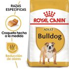 Royal Canin BHN Bulldog 13.63 kg