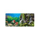 Respaldo Doble Para Acuario Vista Jardin/cascad... Respaldo Doble Para Acuario Vista Jardin/cascada 30 Cm