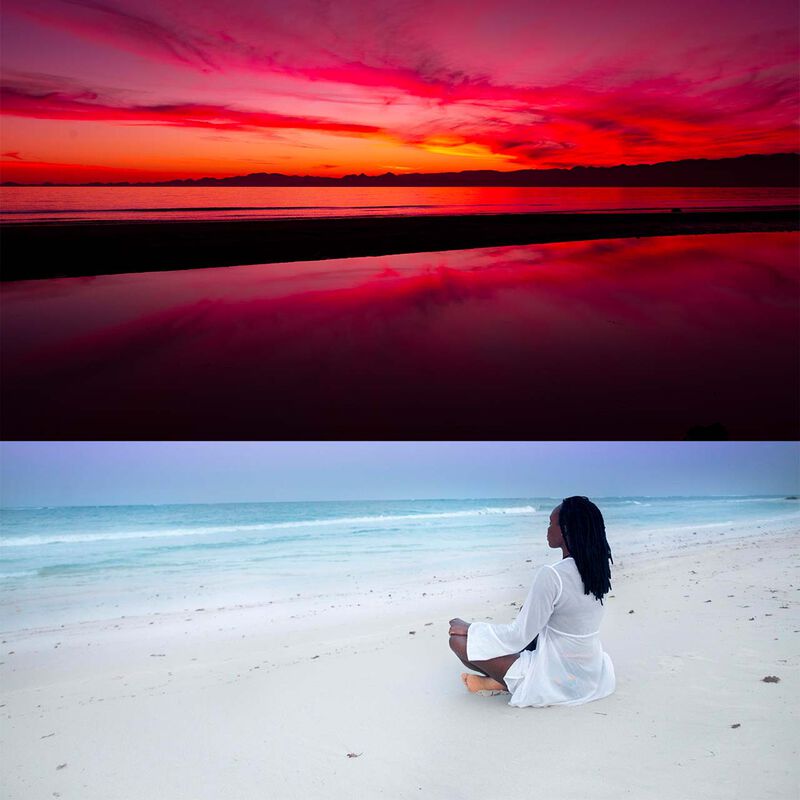 Ruta World Lineage Safari image number null