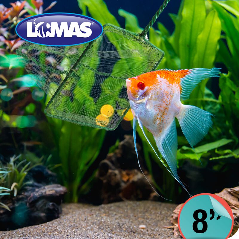 Lomas Red De Malla Gruesa Para Acuarios Y/o Pec... image number null