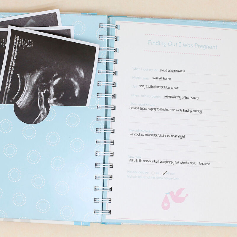 Diario Del Embarazo image number null