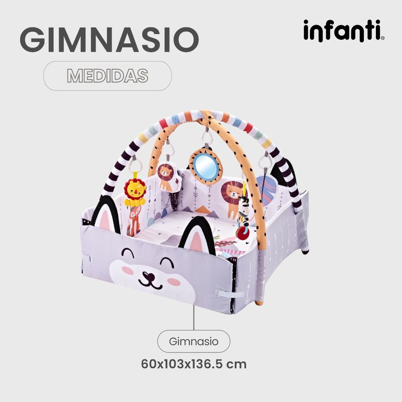 Infanti Gimnasio- Alberca  De Pelotas ''Fox'' image number null