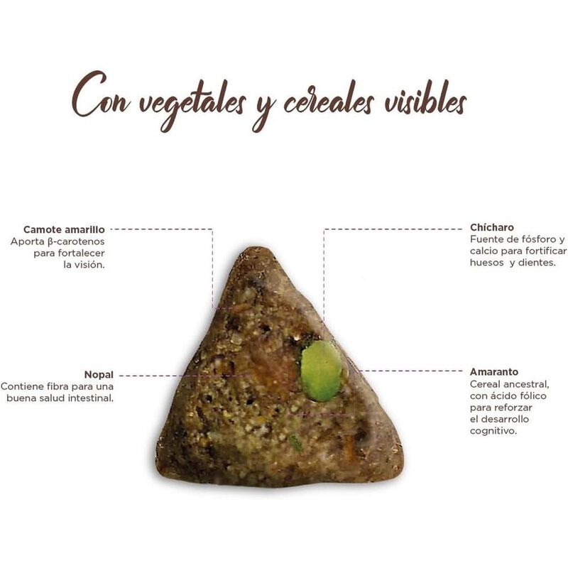 NUFIT CACHORRO NFV 20KG mas Pelota Spiny Caucho image number null