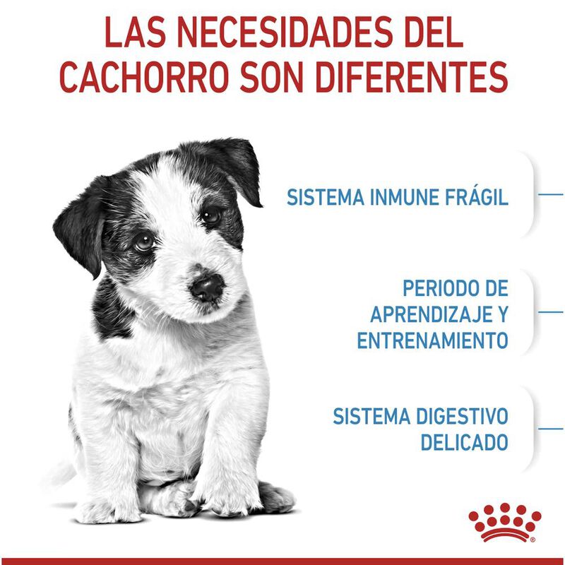 Royal Canin Small Puppy 6.36 Kg Original Sellad... image number null