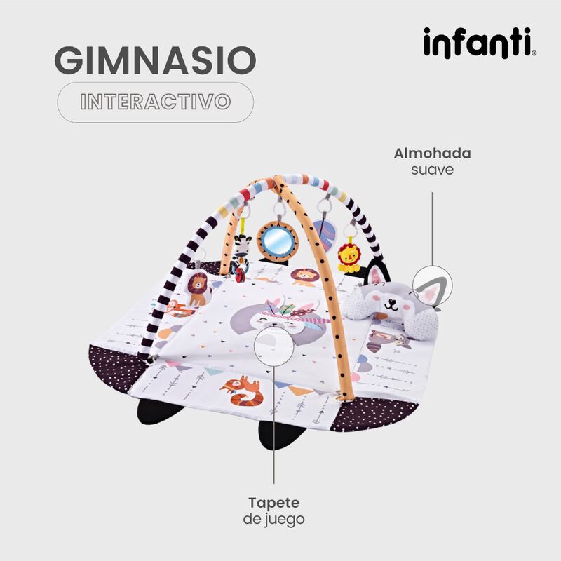 Infanti Gimnasio- Alberca  De Pelotas ''Fox'' image number null