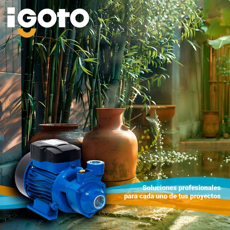 Bomba Perif&eacute;rica 1/2 Hp 127 V, 370w Igoto Qb-60 image number null
