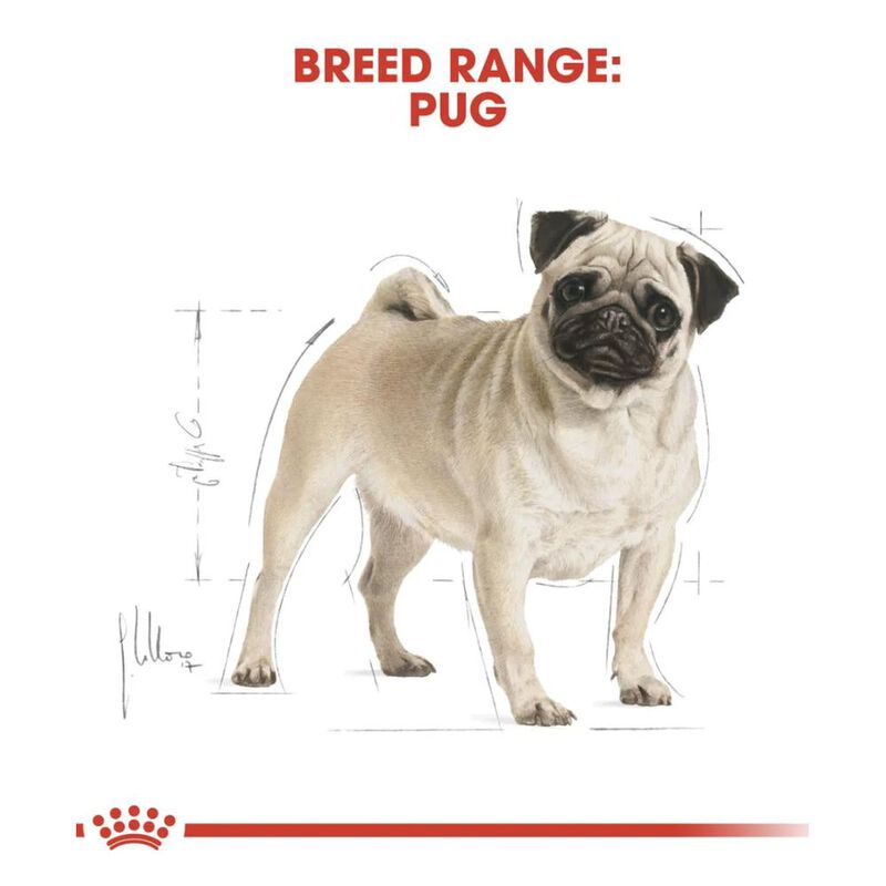 Royal Canin Bhn Pug 4.55 Kg Original Sellado image number null