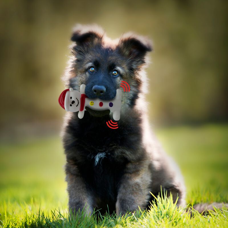 Juguete Para Mascotas Navide&ntilde;o Chillones Paquet... image number null