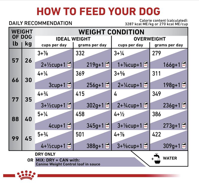 Royal Canin Weight Control Large Dog 11 Kg image number null