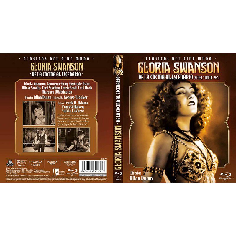 Gloria Swanson: De La Cocina Al Escenario [Blu-... image number null