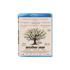 Another Year (blu-ray)