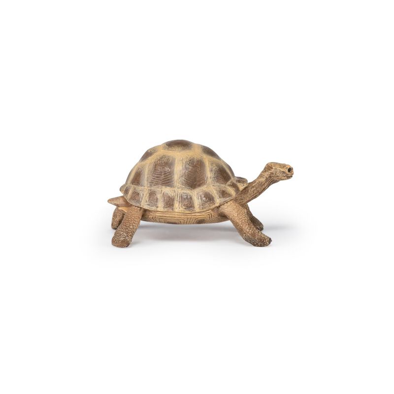 Figurita De Tortuga Hermann De Papo &ndash; 3+ A&ntilde;os &ndash;... image number null