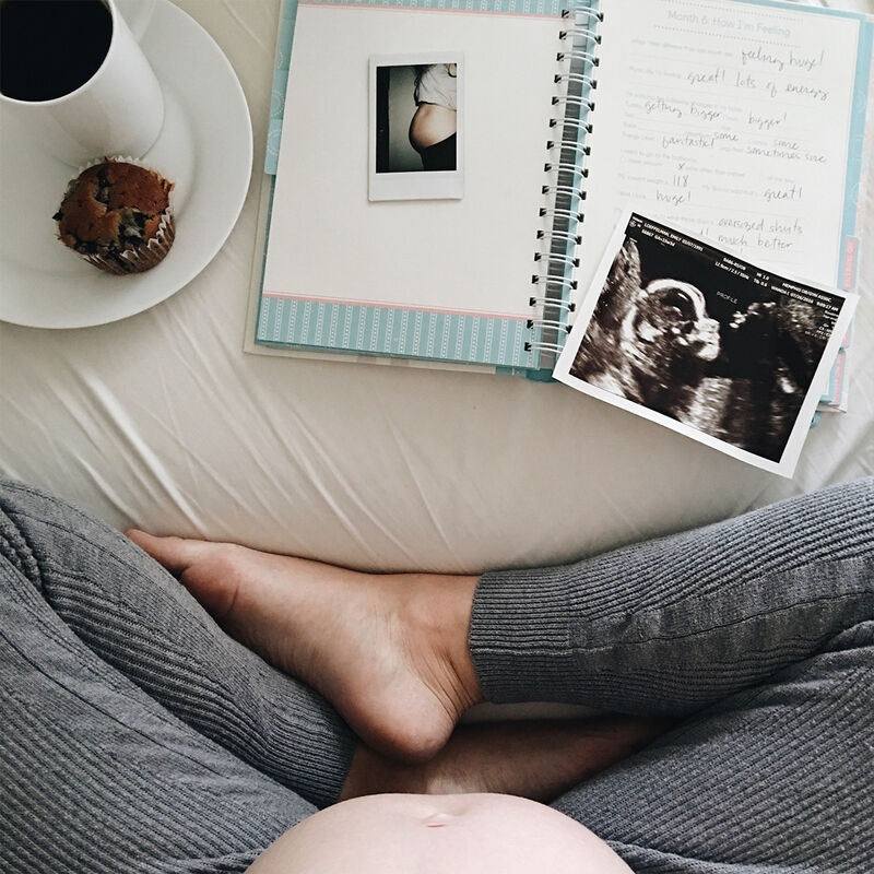 Diario Del Embarazo image number null