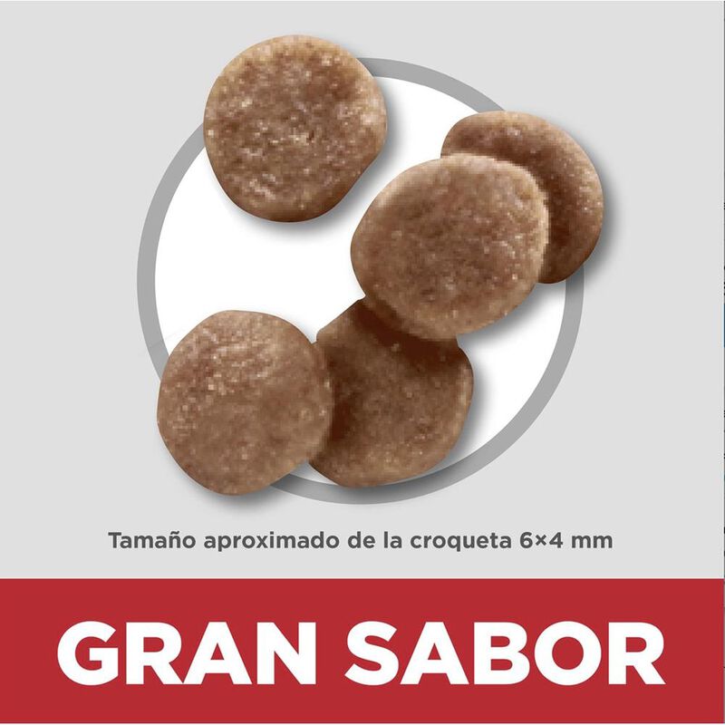 Hill's Felino Kitten 3.2 Kg 1 Unid X Caja mas P... image number null