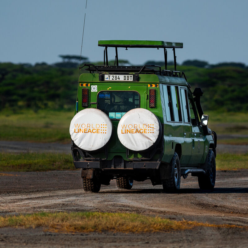 Interacción con Gorilas y Chimpancés  en África image number null