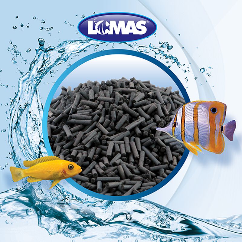 Lomas Carbon Activado 450 G image number null