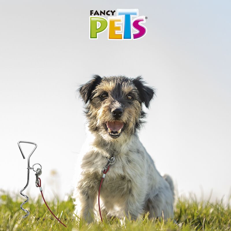 Fancy Pets Cable Galvanizado Con Recubrimiento ... image number null
