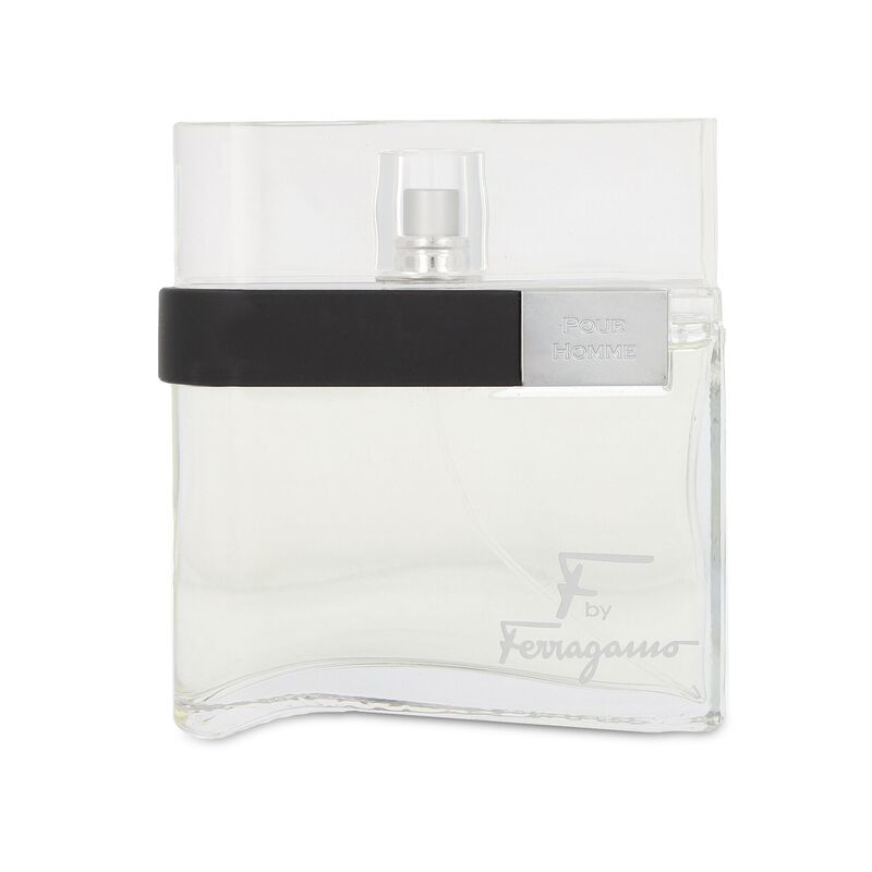 F Ferragamo Pour Homme 100 Ml Edt Spray image number null