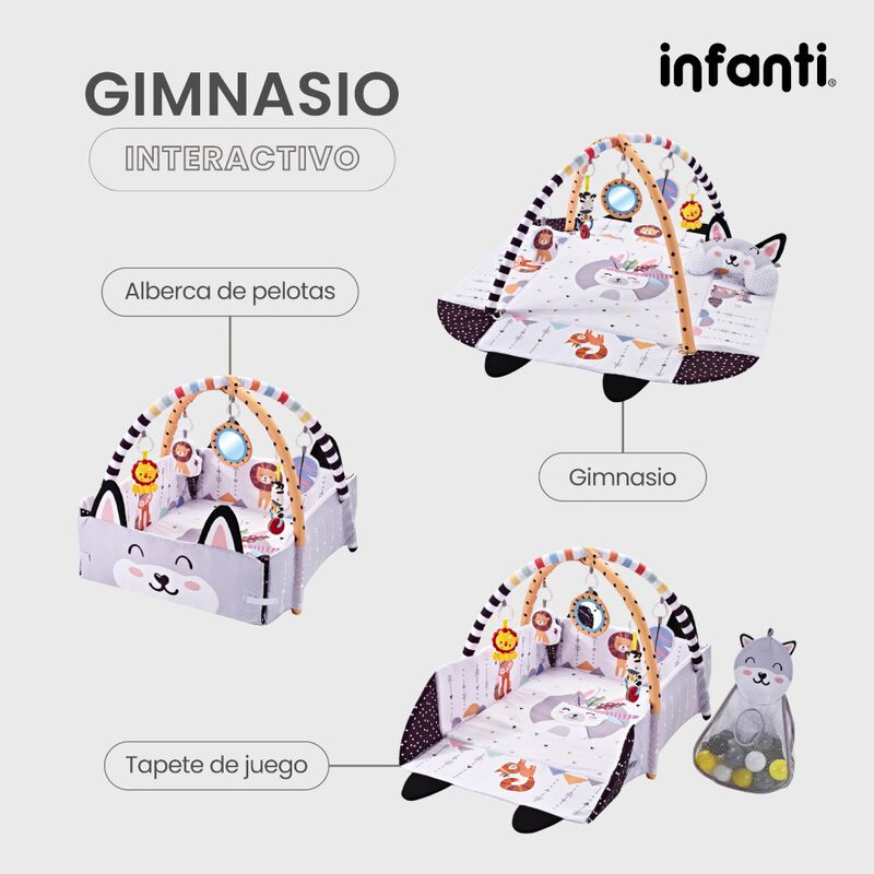 Infanti Gimnasio- Alberca  De Pelotas ''Fox'' image number null