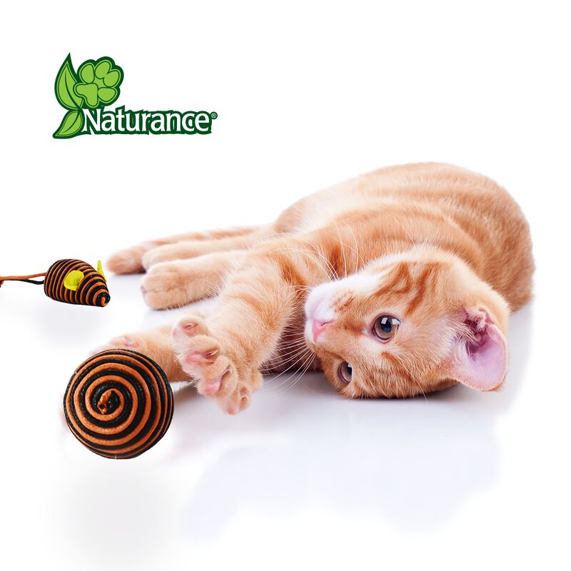 Naturance Ecoplay Juguete Bola Y Ratón Para Gat... image number null