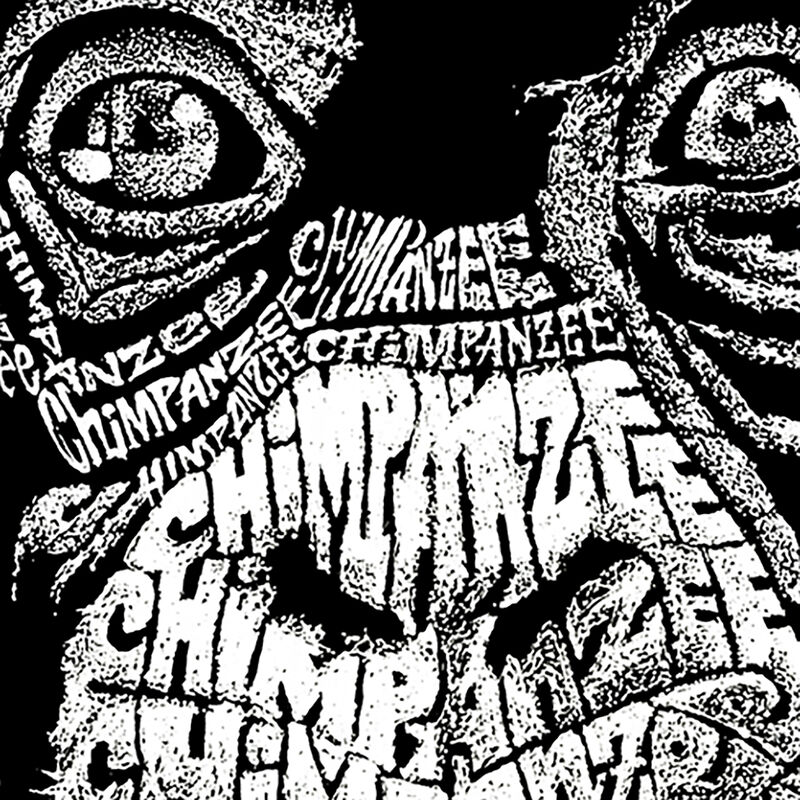 Camiseta Word Art Para Ni&ntilde;a - Chimpanc&eacute; - Turqu... image number null