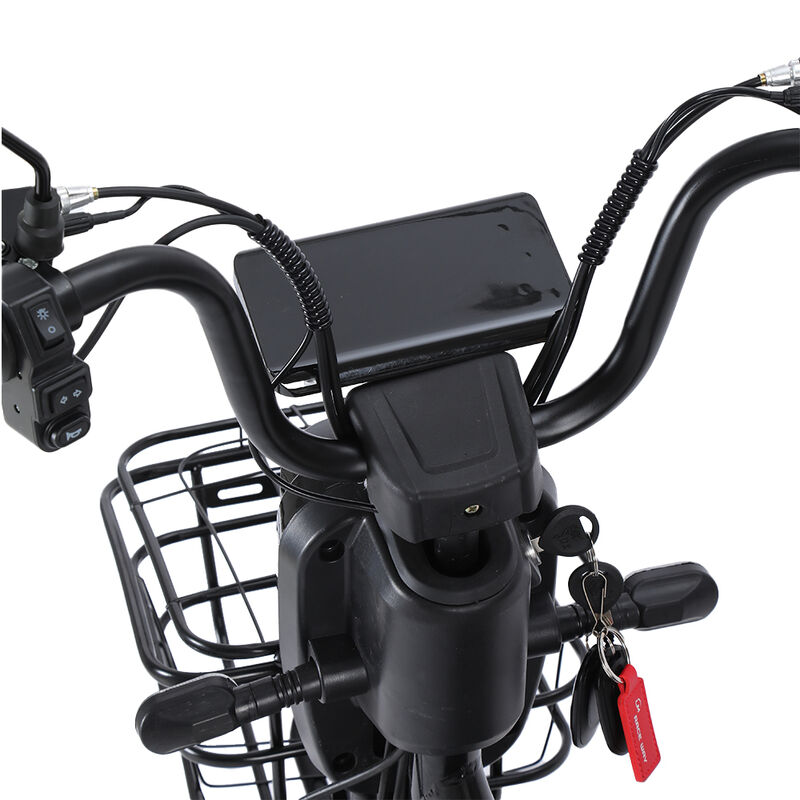 Moto eléctrica LMR-025 image number null