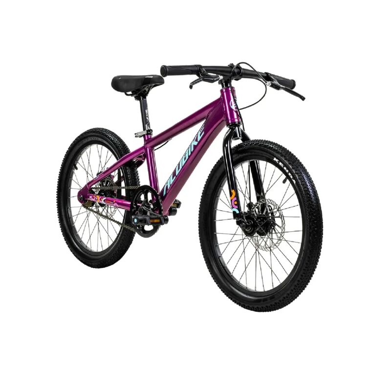 Bicicleta Alubike Sierra R20 MTB 1 Vel / Frenos... image number null