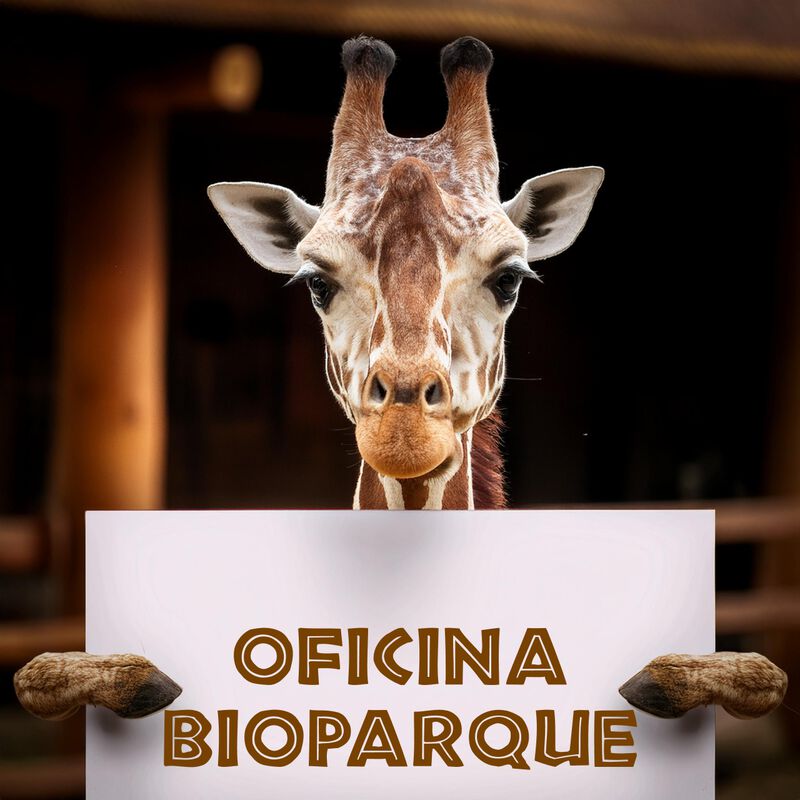 Bioparque + Transporte Incluido CDMX Oficina Bi... image number null