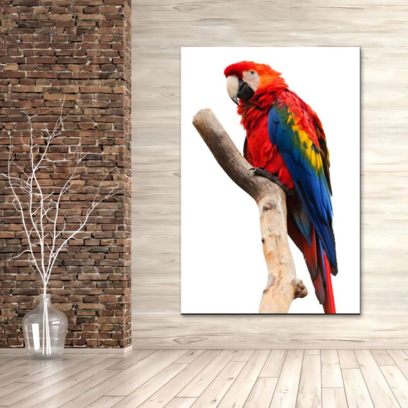 Cuadro Decorativo Animales Guacamayo 140cm X 87... image number null